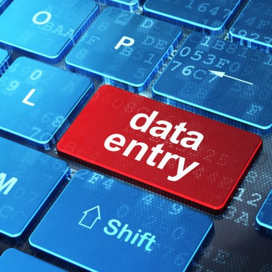 CODEWORKS BANGLADESH | DATA ENTRY E COMMERCE (10)